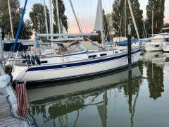 Hallberg-Rassy 37 Yacht a vela