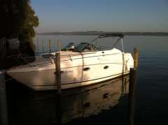 Rinker 260 EC Sportboot