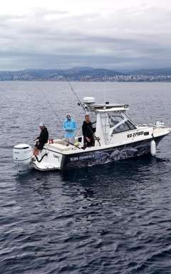 Bayliner Sportfishing boat Bayliner 2509 Sportski brod