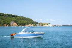 Chaparral 247 SSX Wakeboard/wakesurf