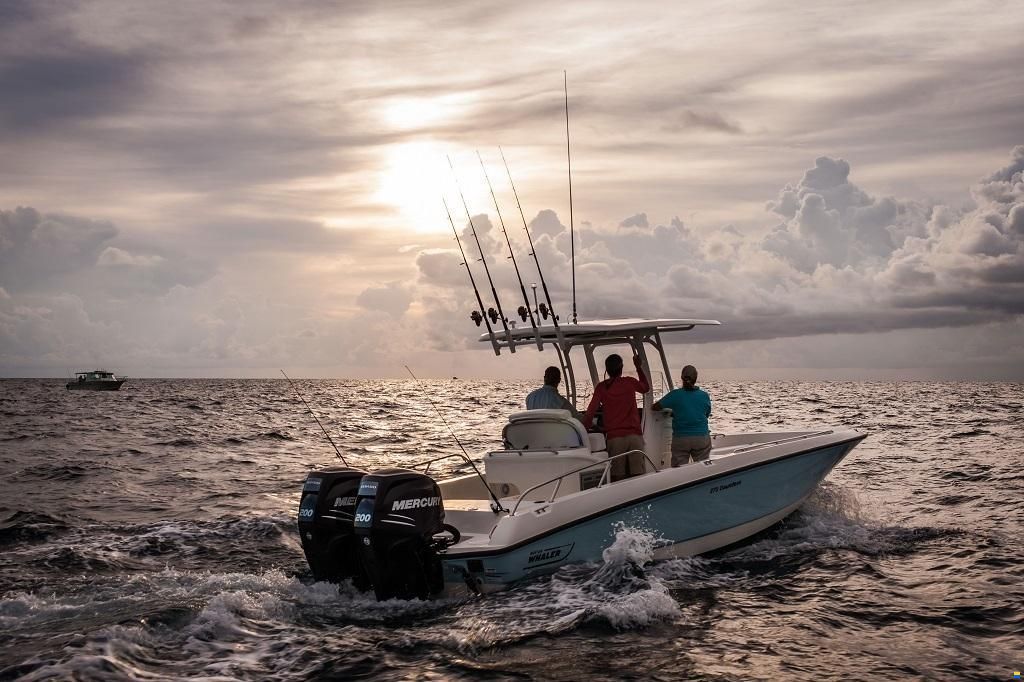 Boston Whaler 280 Dauntless