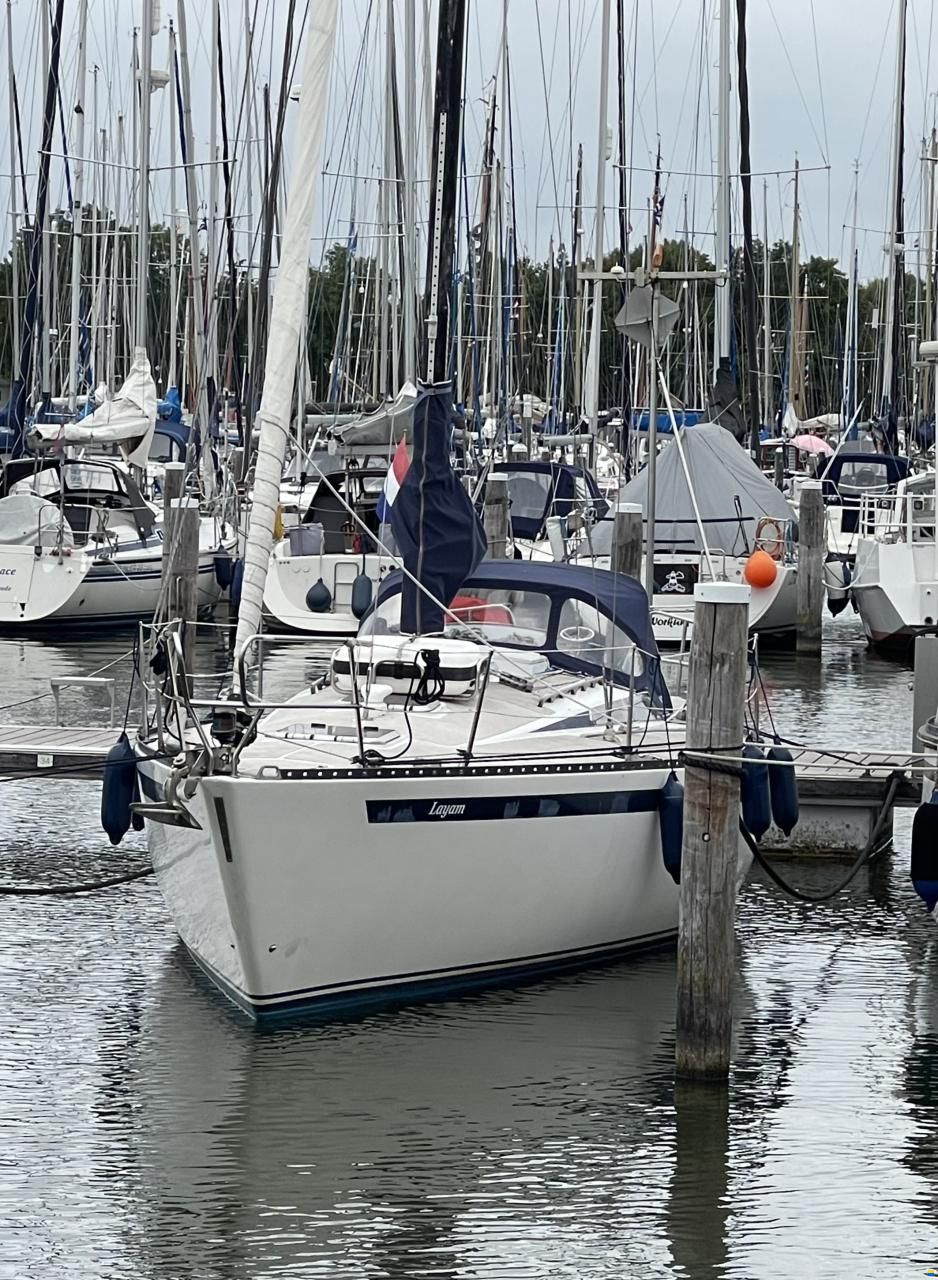 Kalik 33