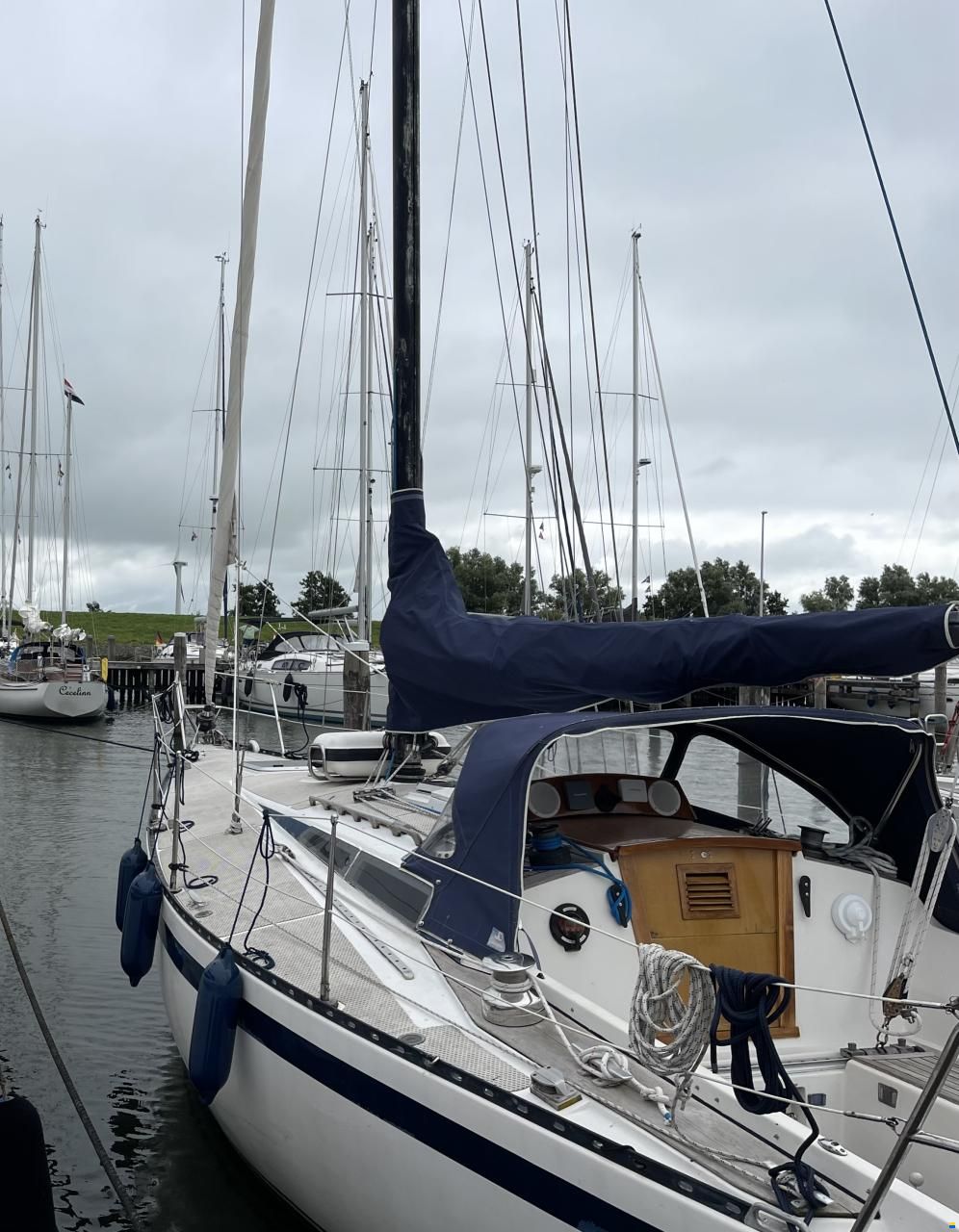 Kalik 33