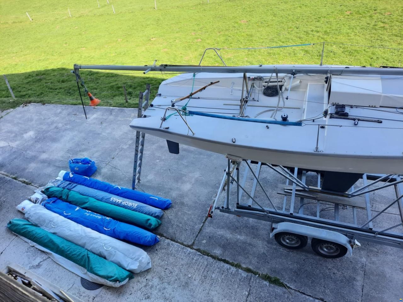 Dolphin 81 Dolphin 81
