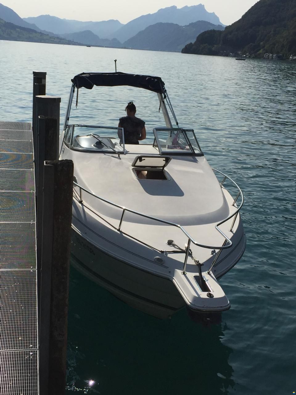 WELLCRAFT 2600 MARTINIQUE