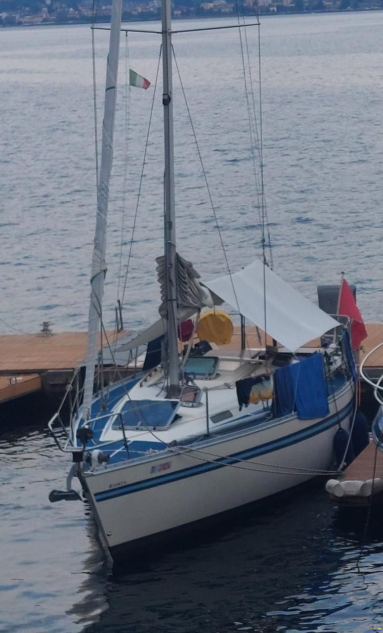 Bianca 320