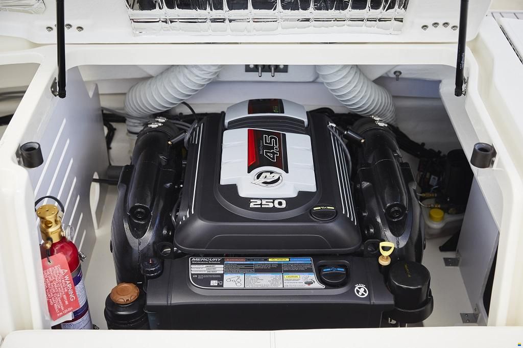 Sea Ray SPX 210 Europe