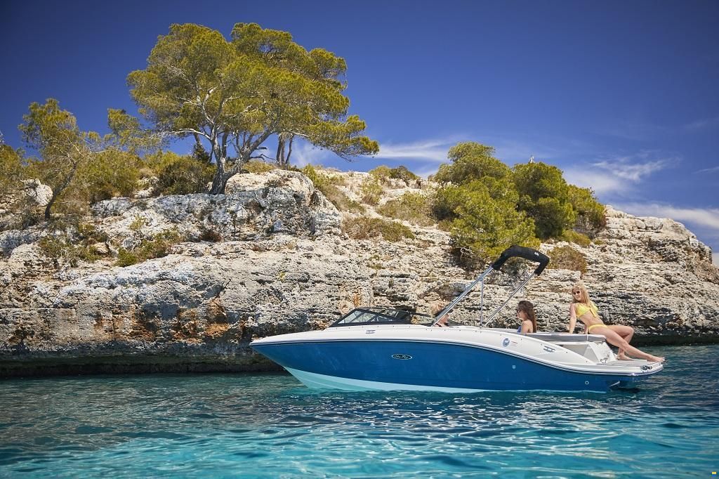 Sea Ray SPX 210 Europe