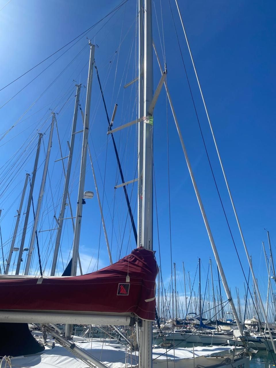Beneteau First 310