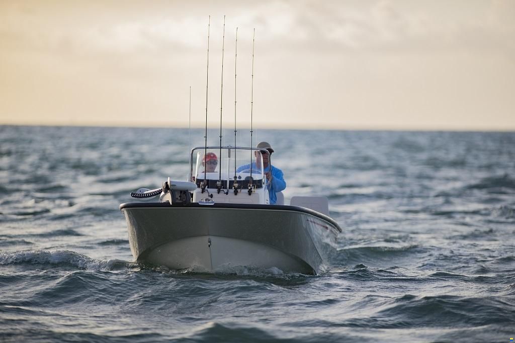 Boston Whaler 170 Montauk