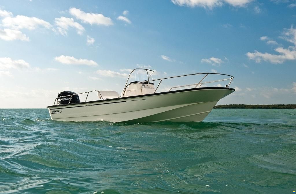 Boston Whaler 190 Montauk