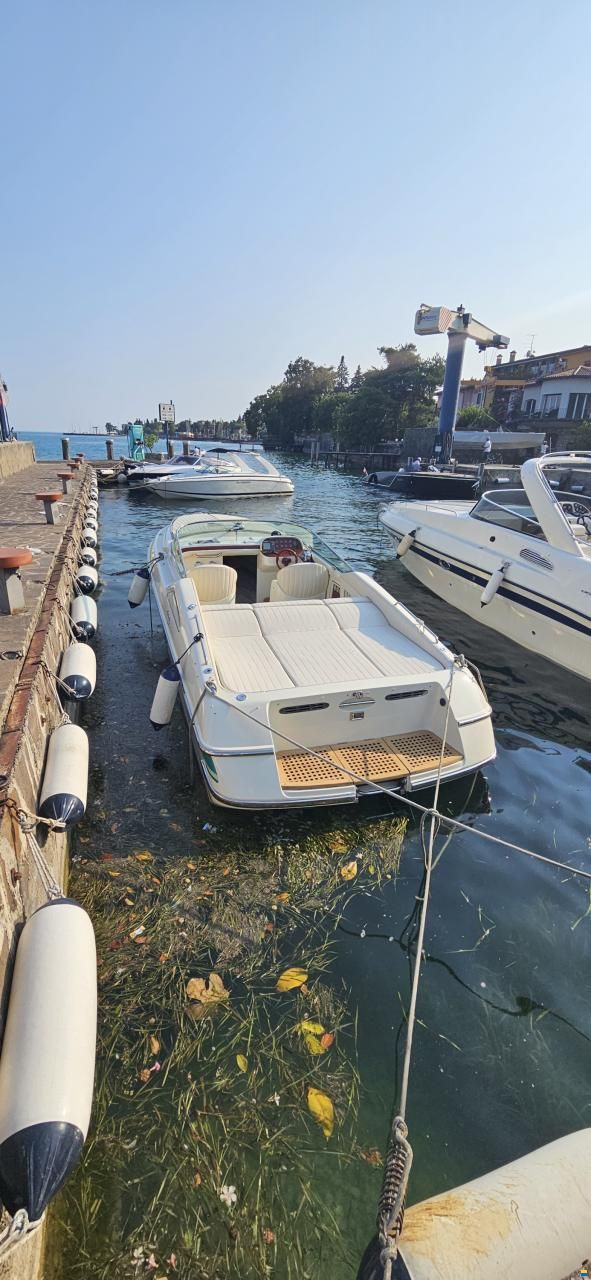 Colombo Maité 28
