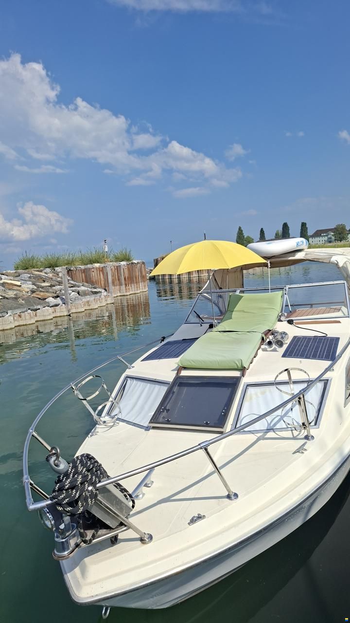 Bayliner Express