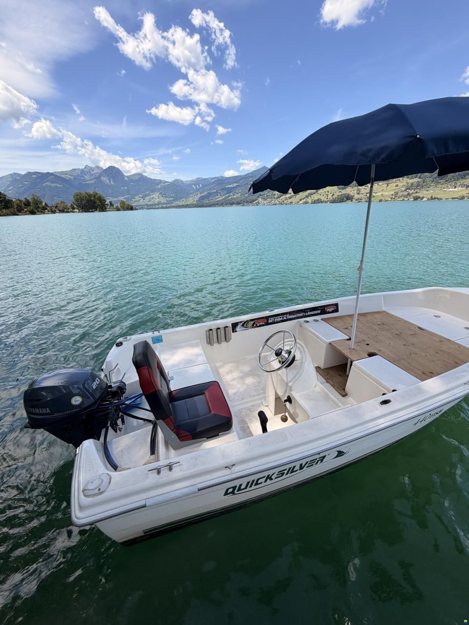 Quicksilver 440 Fish