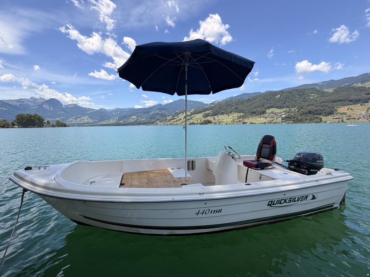 Quicksilver 440 Fish