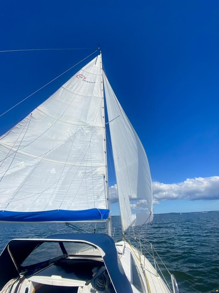 Northman Maxus 28