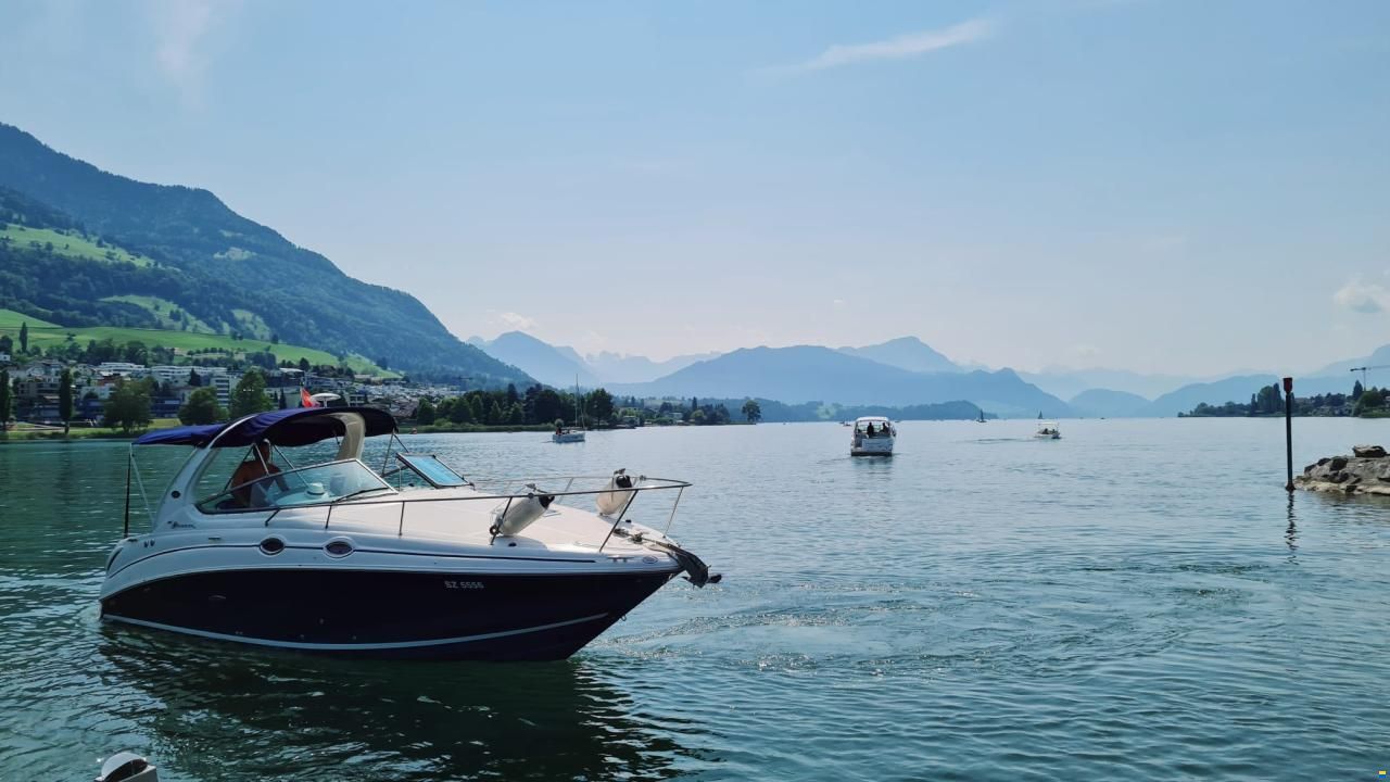 Sea Ray 315 Sundancer