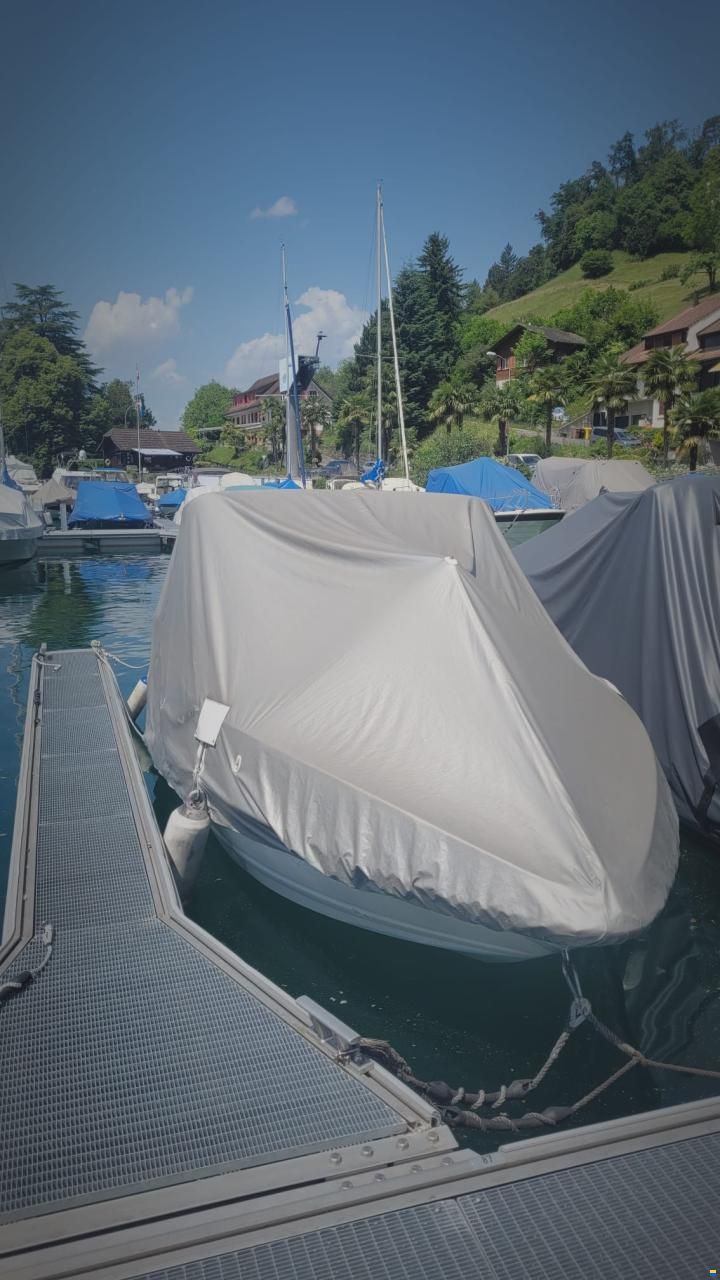 Larson Senza 206 BR