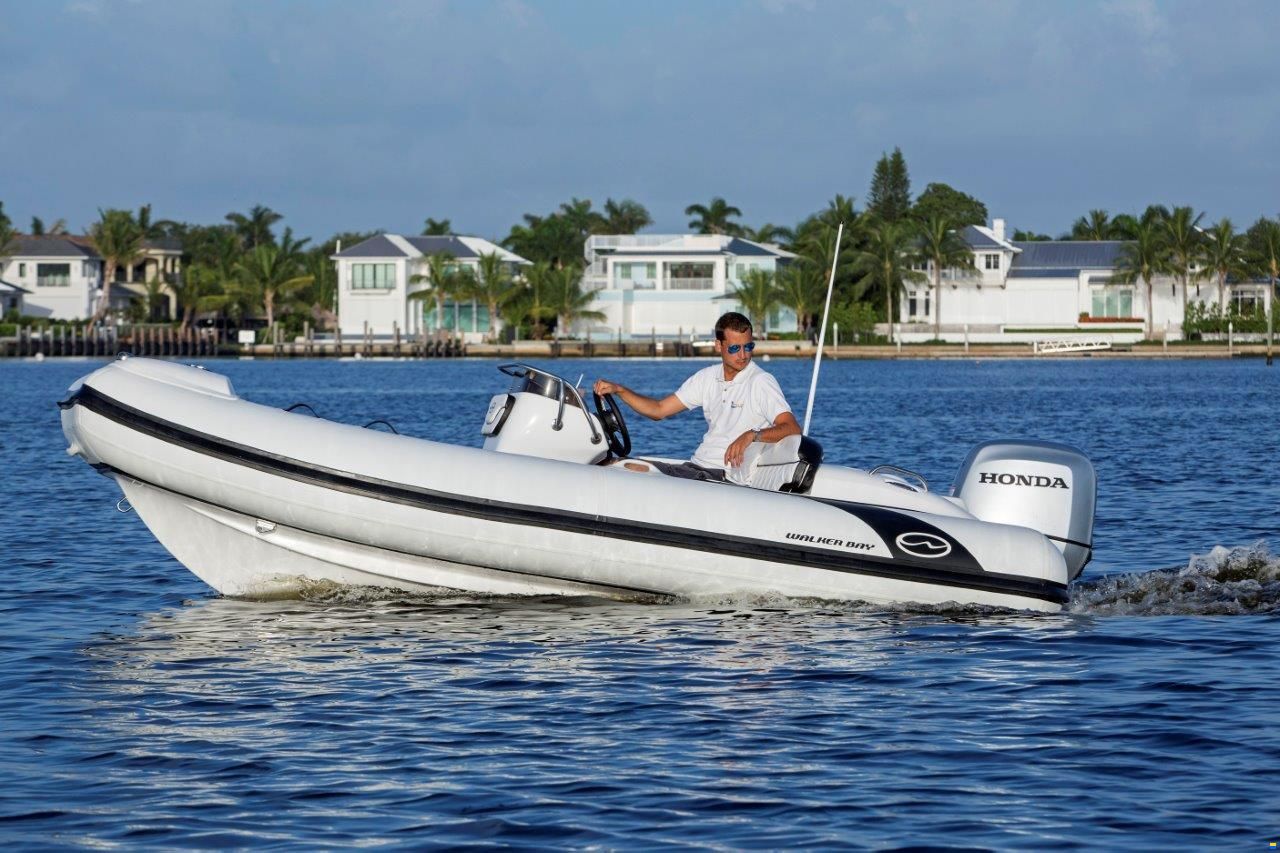 Walker Bay Tender Generation 450 DLX