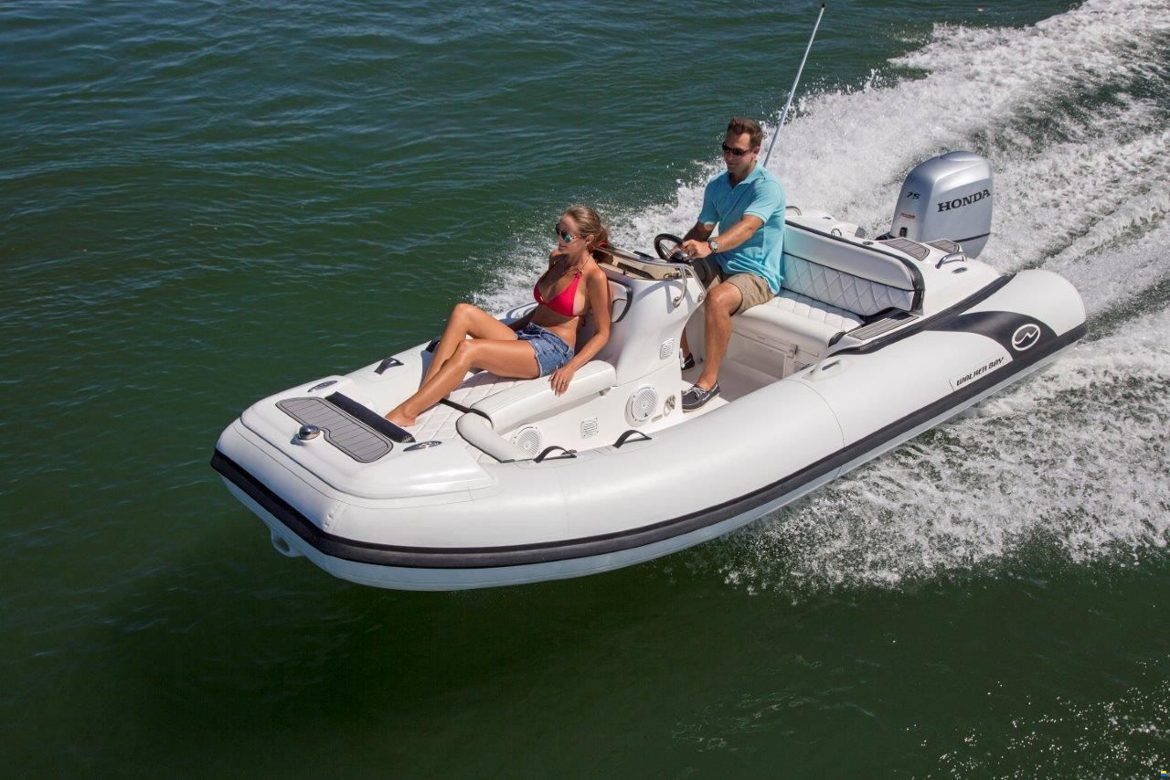 Walker Bay Tender Generation 450 DLX