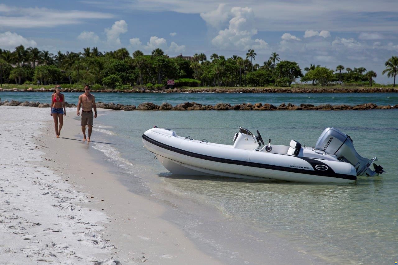 Walker Bay Tender Generation 450 DLX