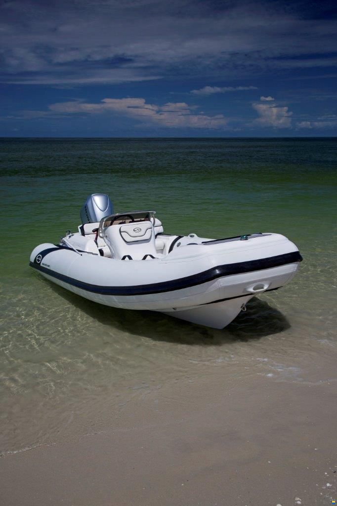 Walker Bay Tender Generation 450 DLX