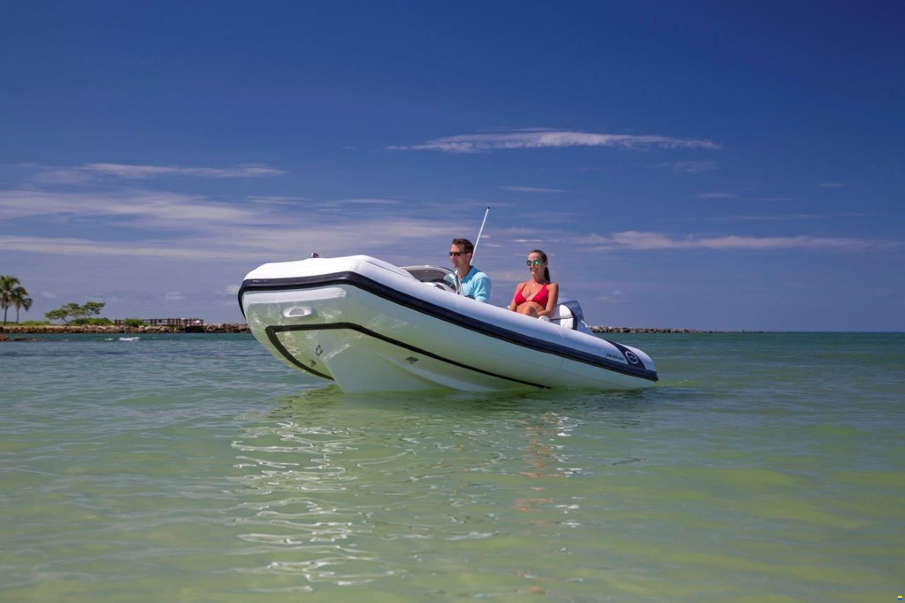 Walker Bay Tender Generation 450 DLX