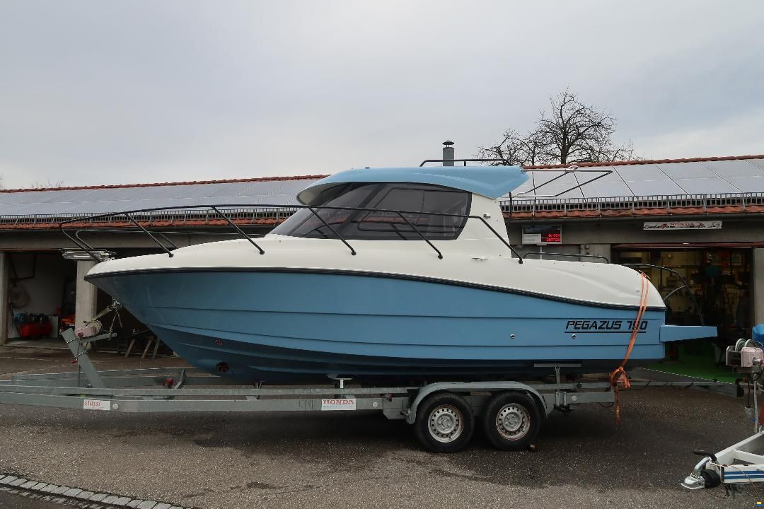 Pegazus 790