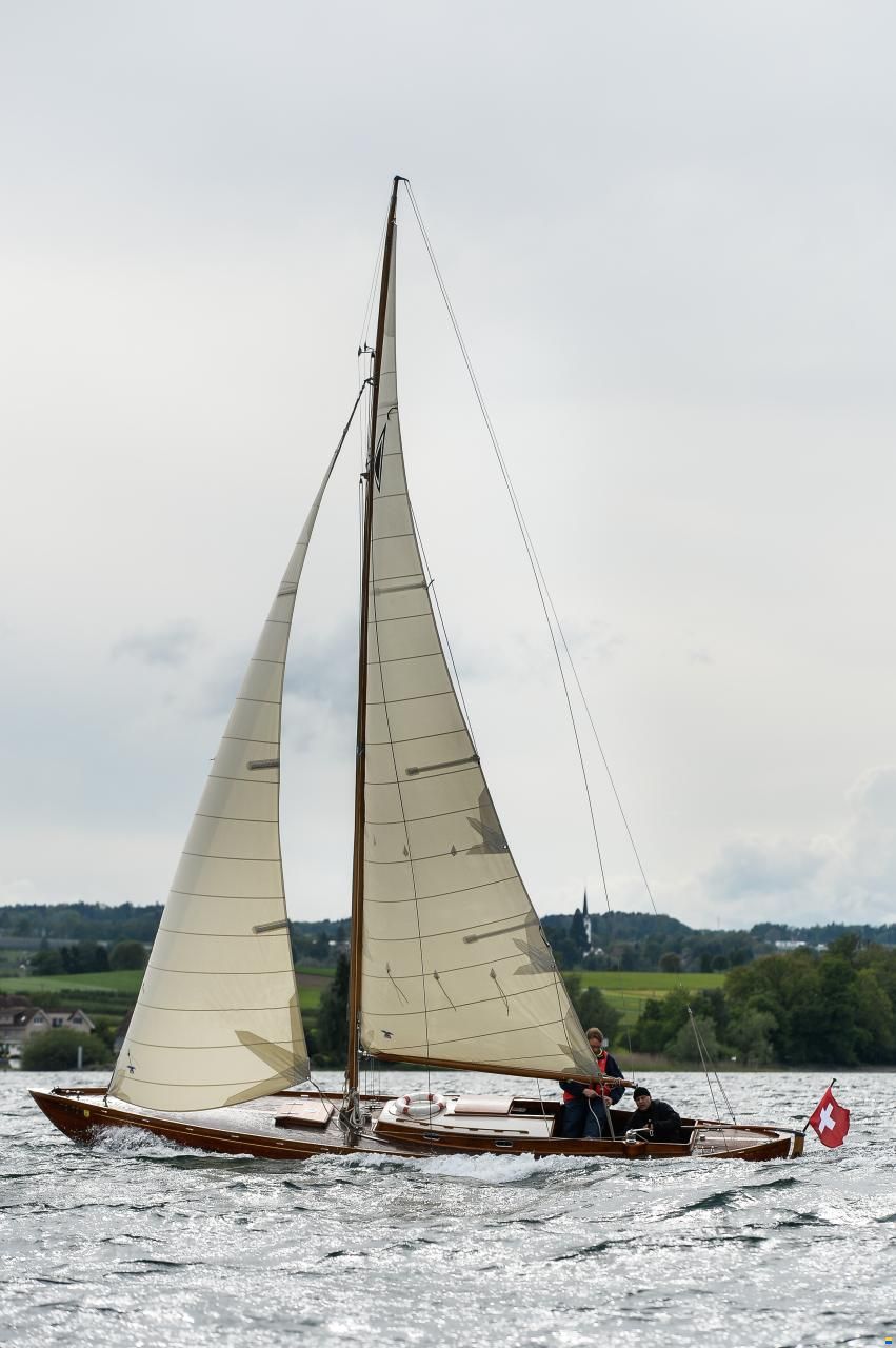 Portier Hocco/Tumlare