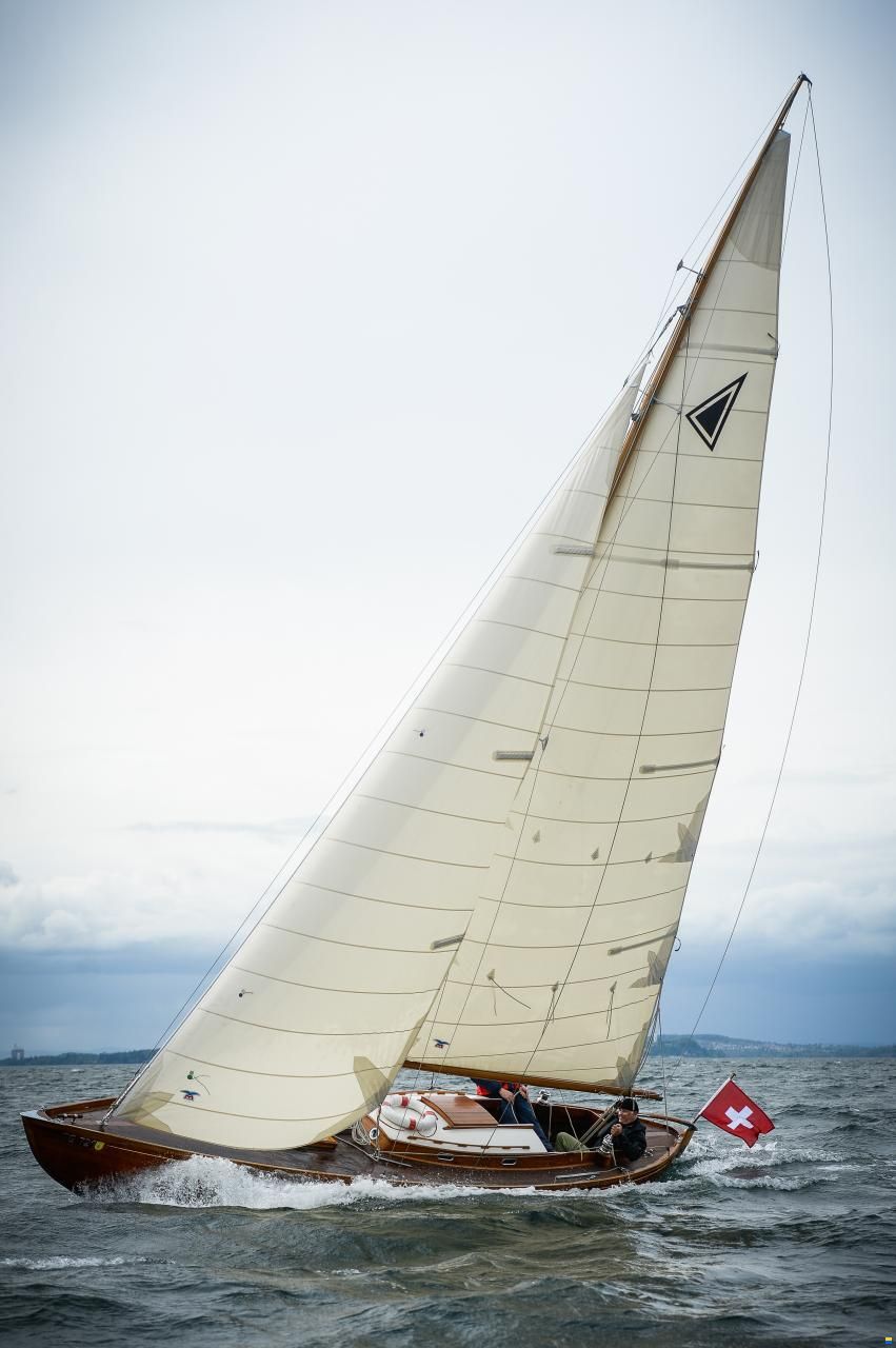 Portier Hocco/Tumlare