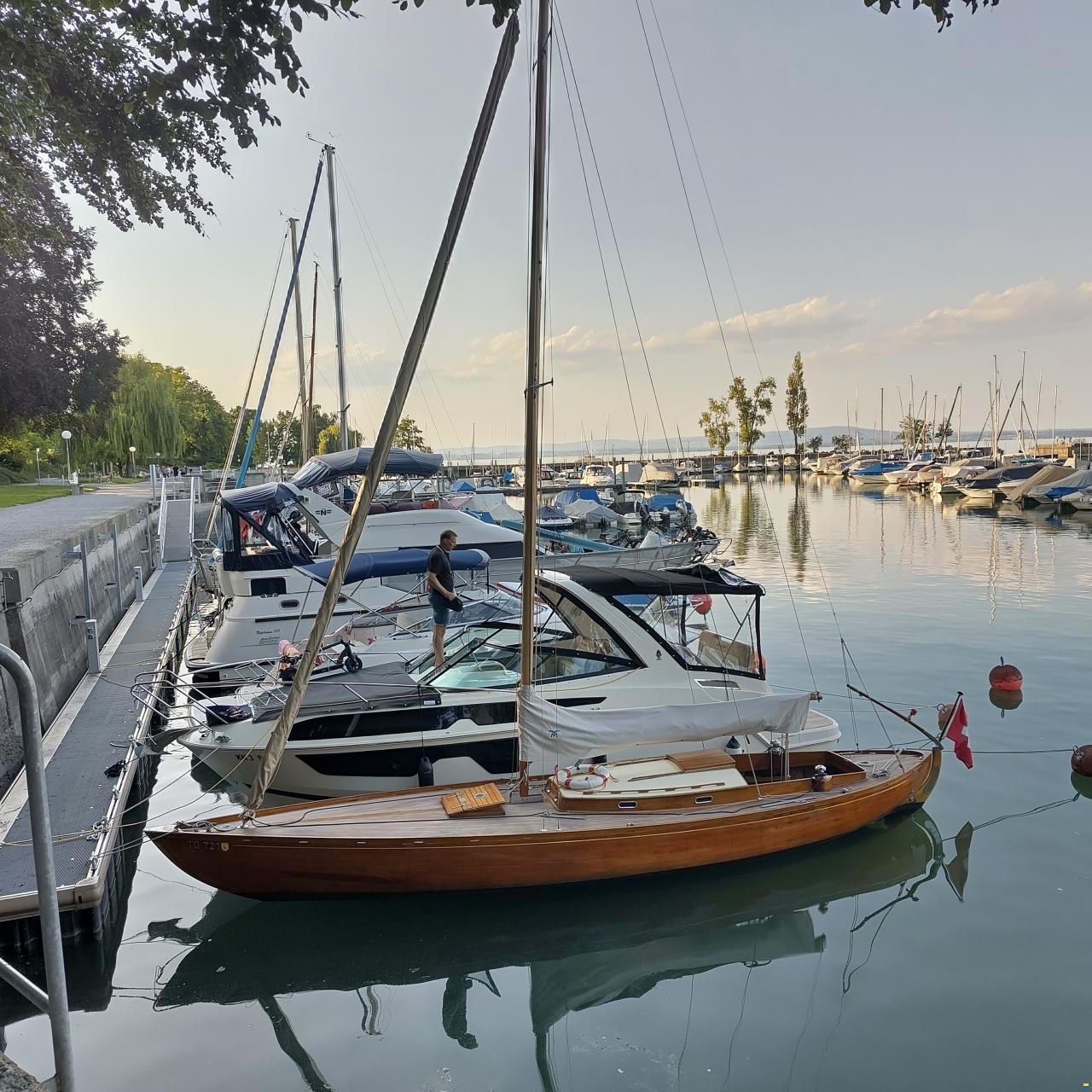 Portier Hocco/Tumlare