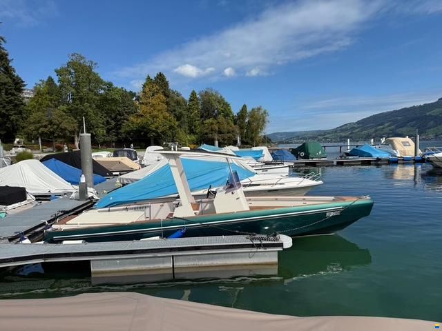 Heinrich Tender08 T-Top