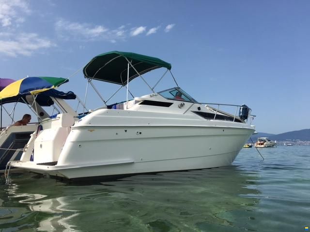 Wellcraft 2700