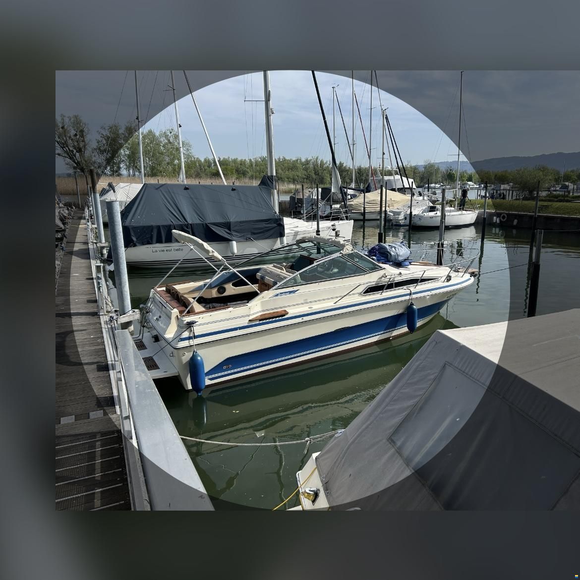 Sea Ray - Sundancer 250