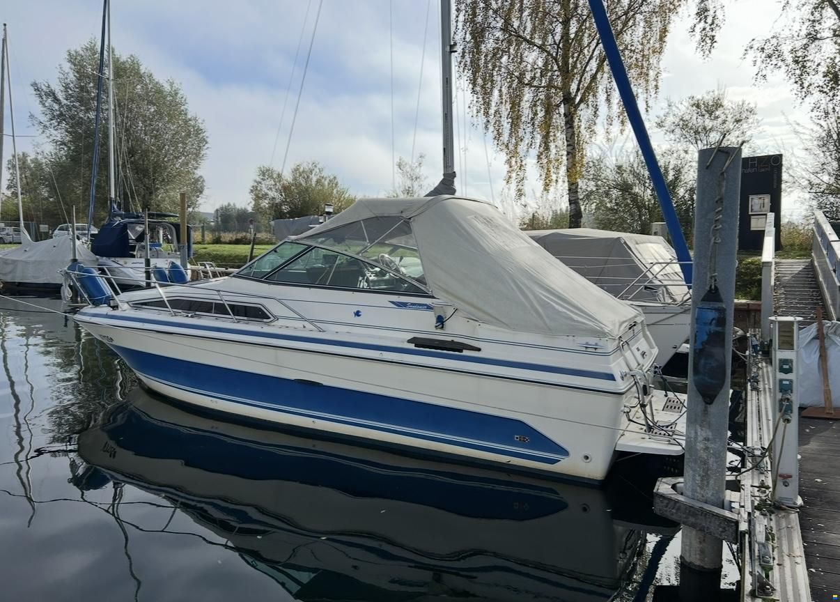Sea Ray - Sundancer 250