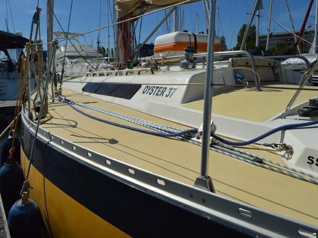 Oyster 37