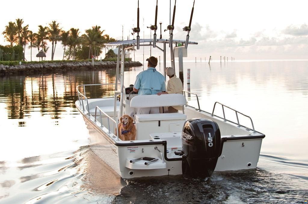 Boston Whaler 210 Montauk