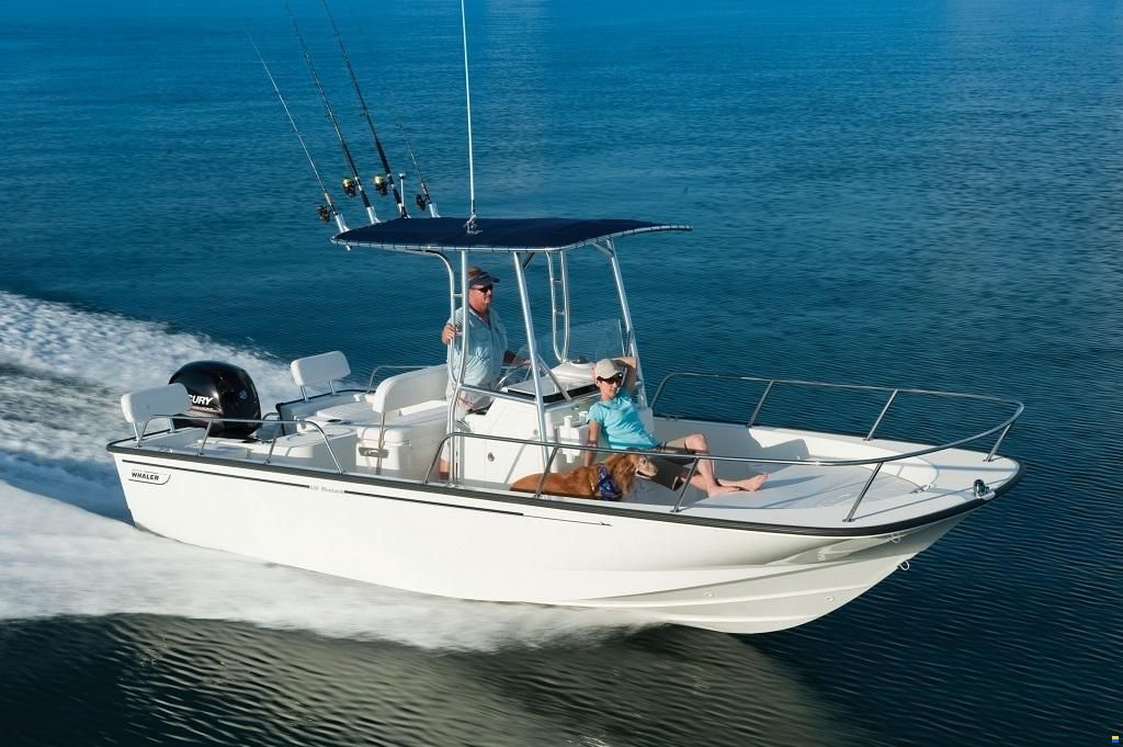 Boston Whaler 210 Montauk