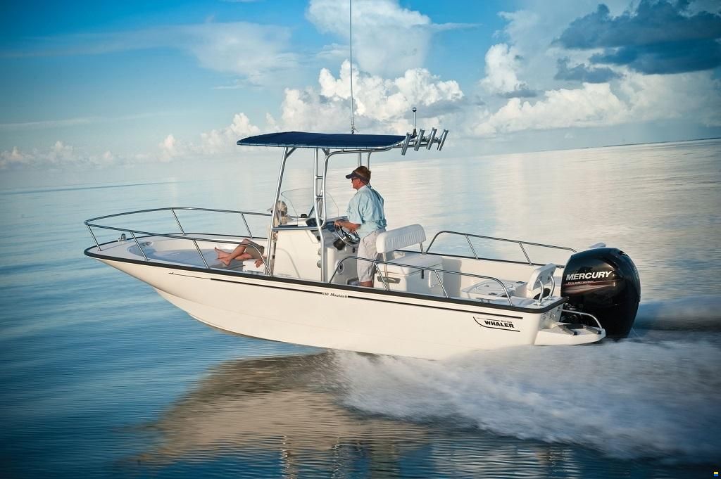 Boston Whaler 210 Montauk