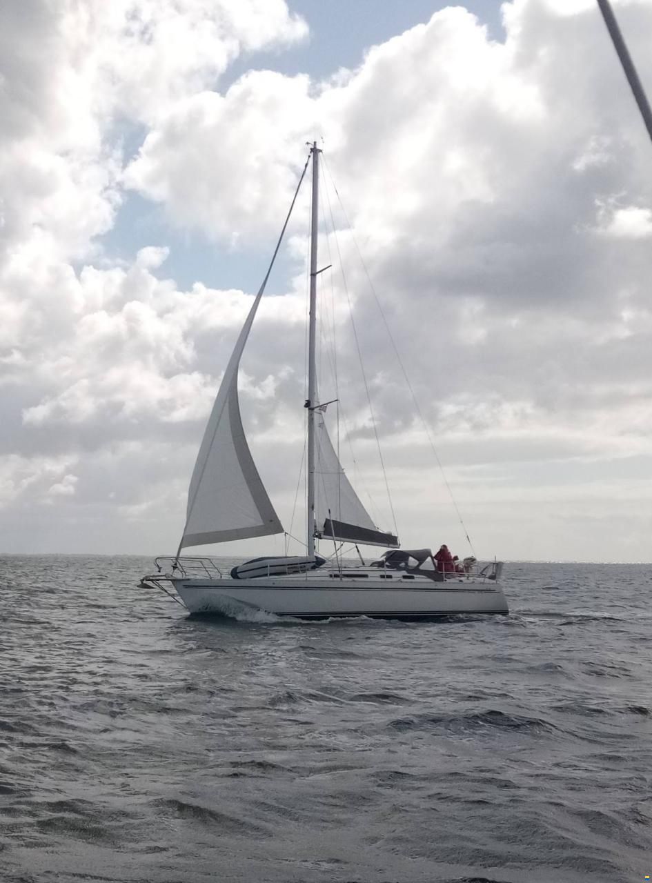 Marine Projects Moody 336