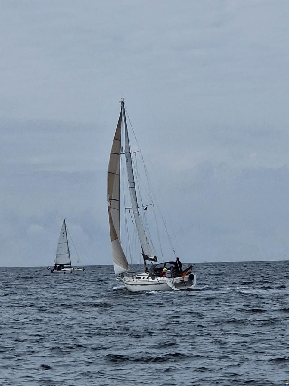 Marine Projects Moody 336