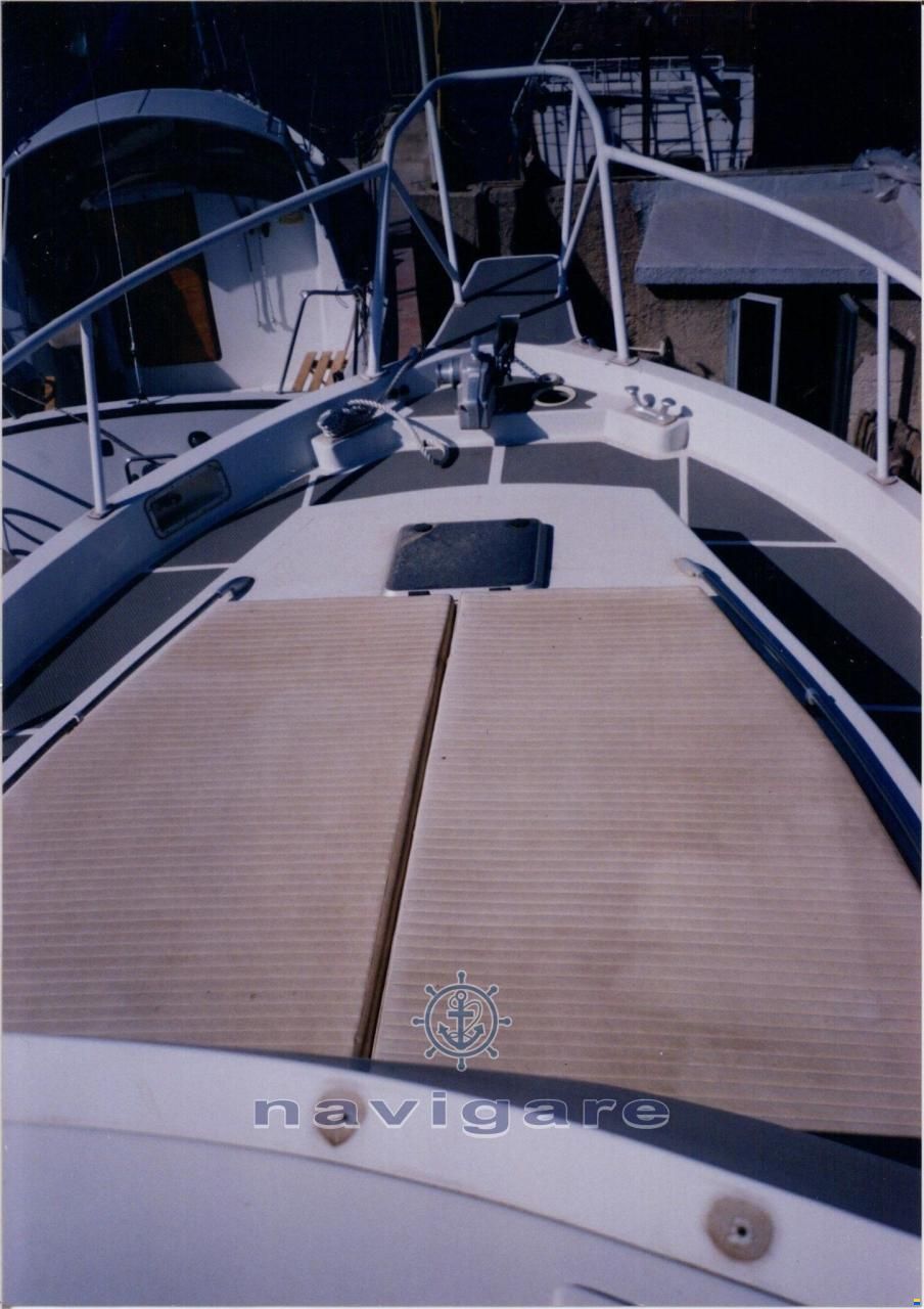 Catarsi CALAFURIA 41