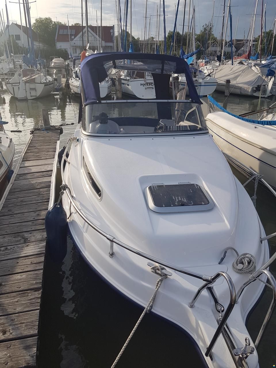 Drago 550