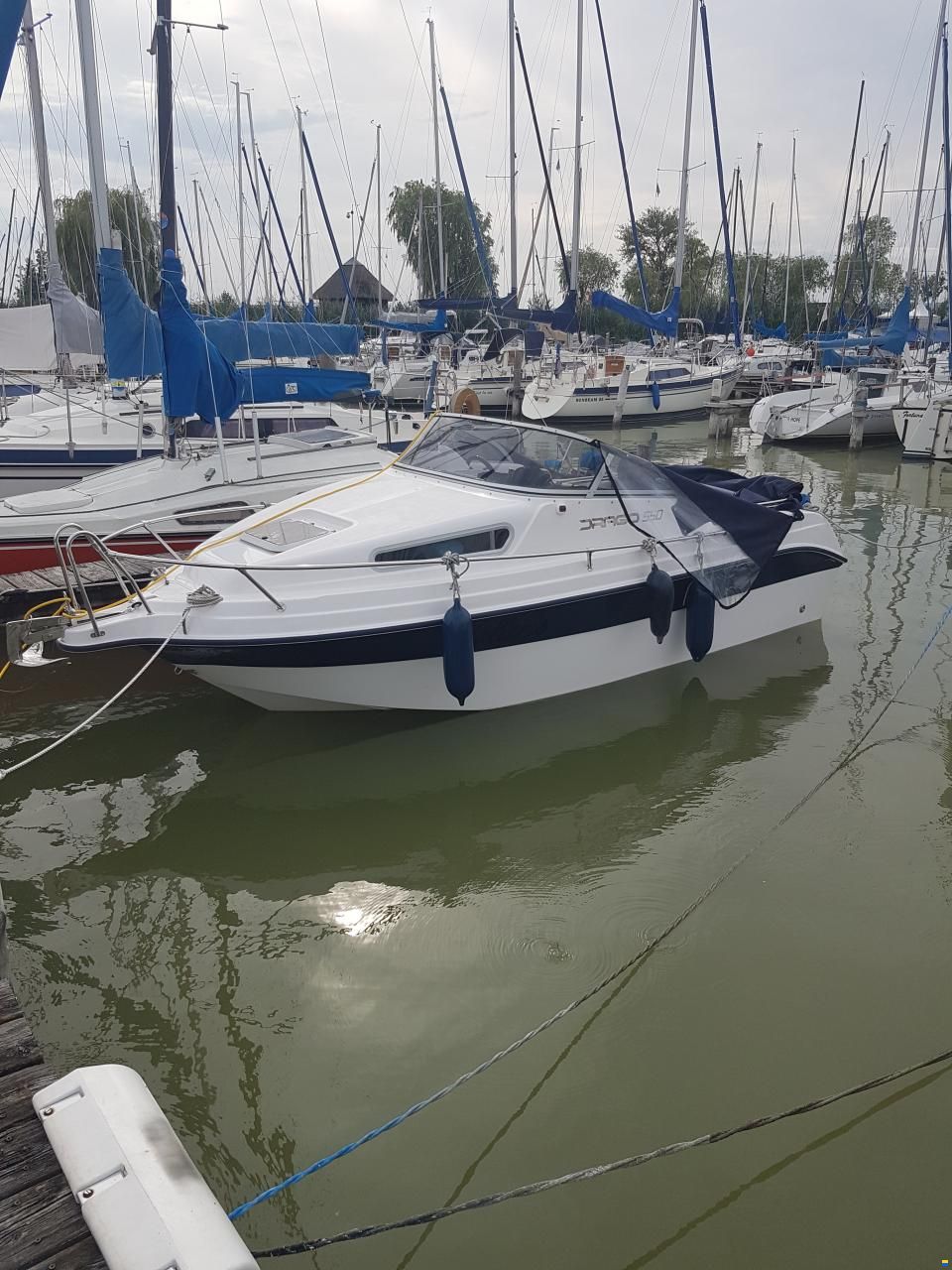 Drago 550