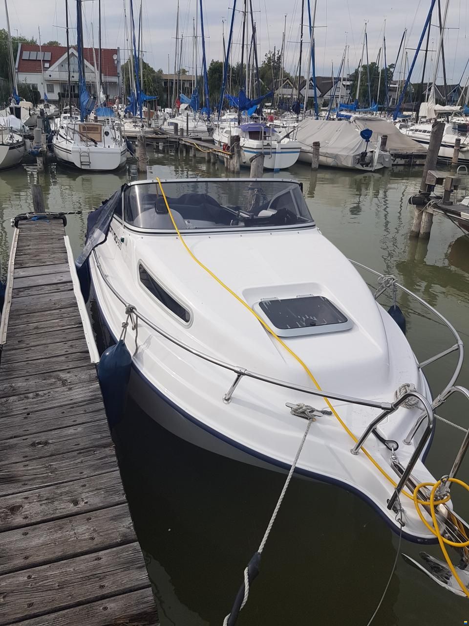 Drago 550