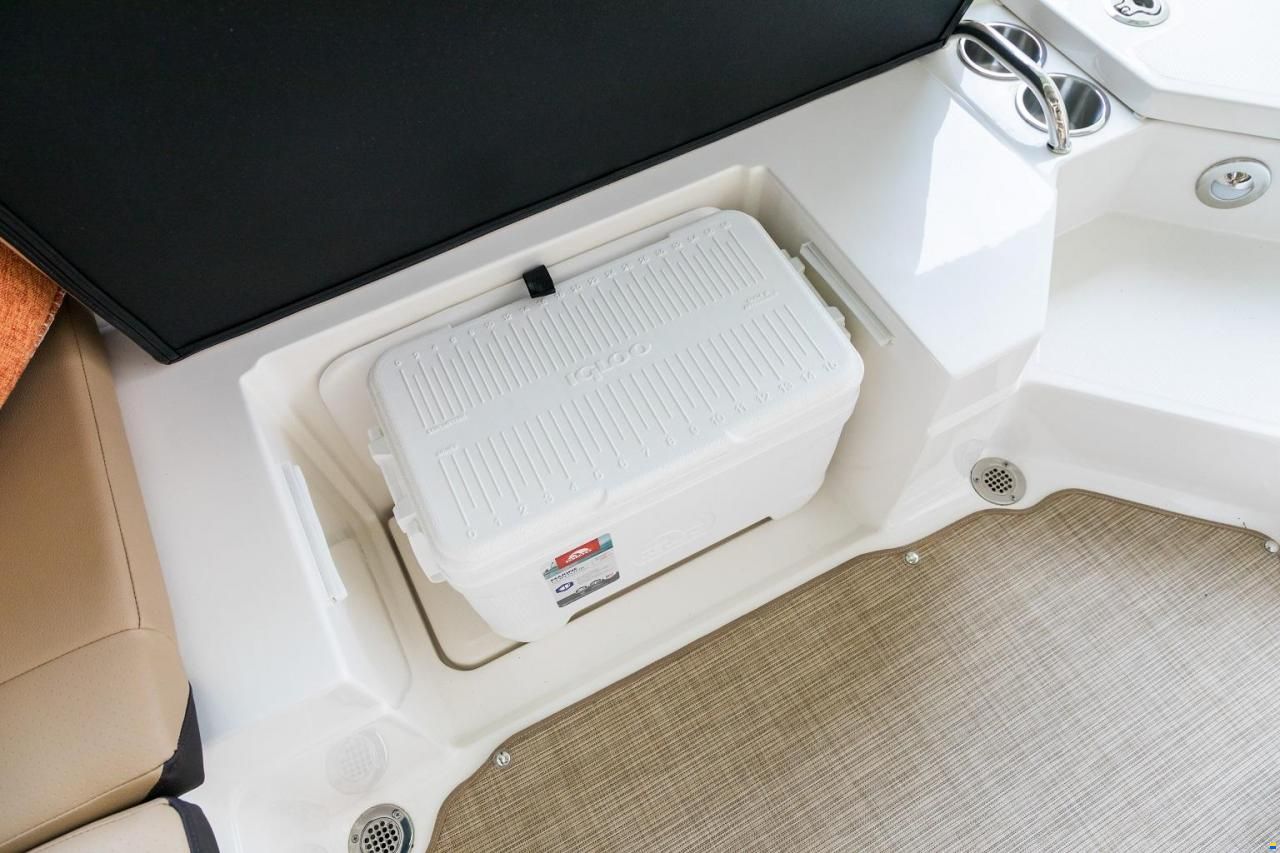 Sea Ray SPX 230 OB Europe