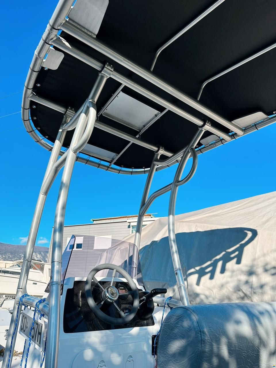 Swiss Cat 21