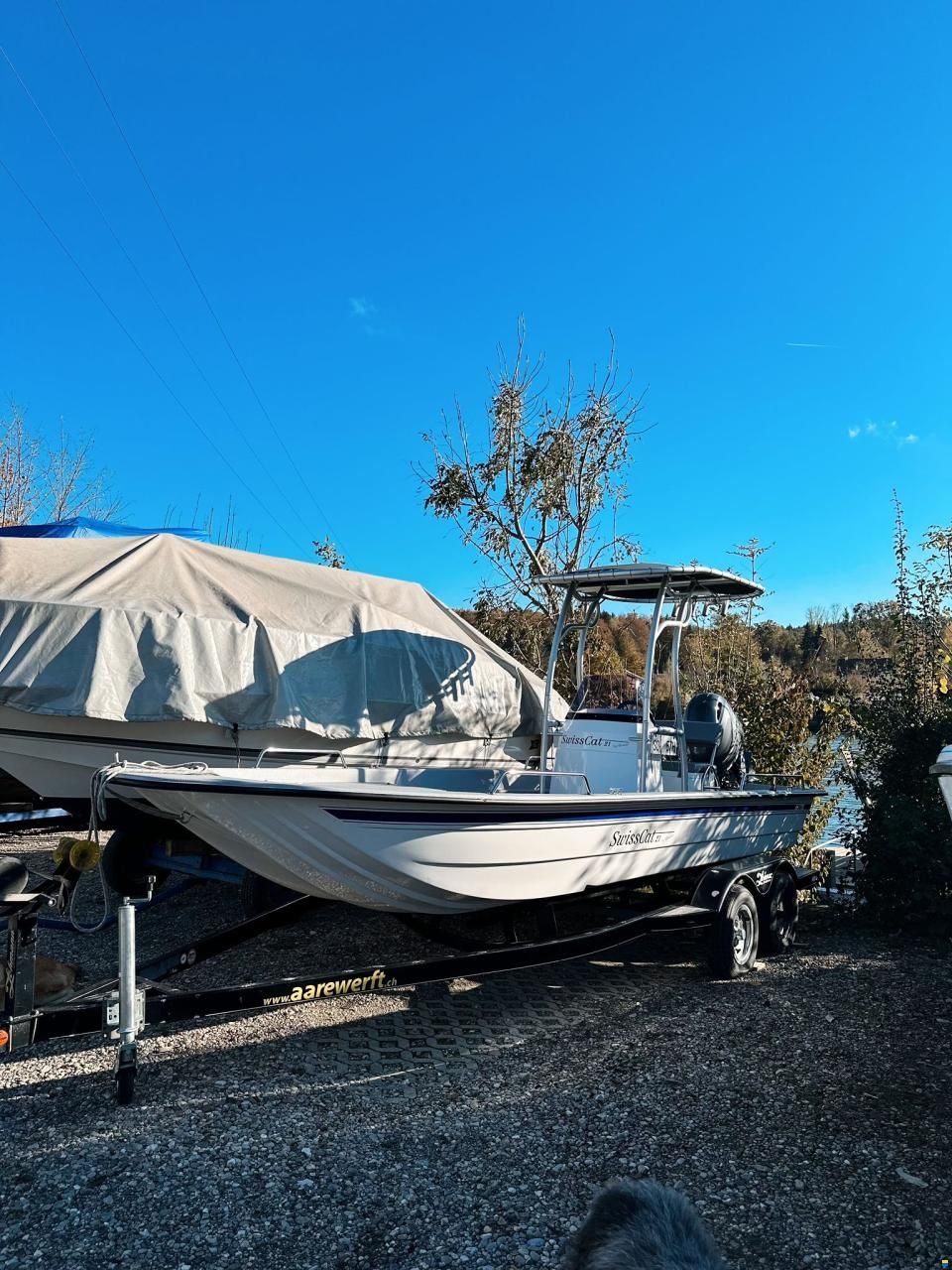 Swiss Cat 21