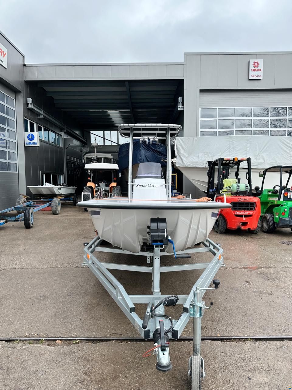 Swiss Cat 21