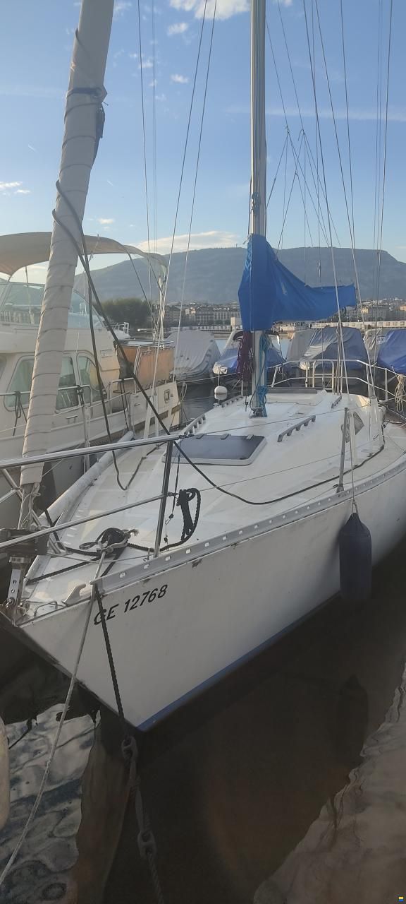 Colvic UFO 34 Z 88 (1982)